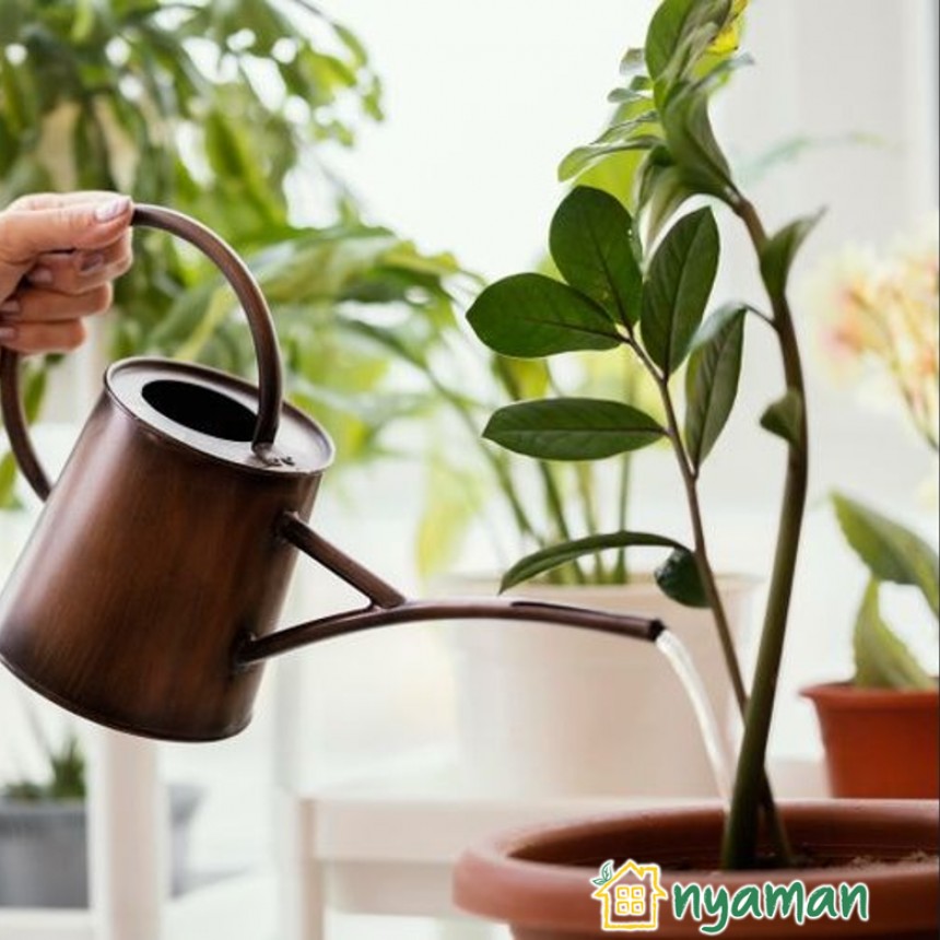 Fakta penting tentang penyiraman tanaman yang perlu diketahui (1/2), Tanah memengaruhi drainase air