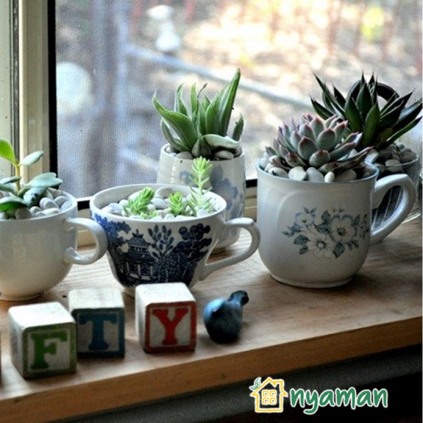 Inspirasi diy tanaman indoor agar interior rumah makin asri (2/3), Manfaatkan gelas bekas untuk pot tanaman