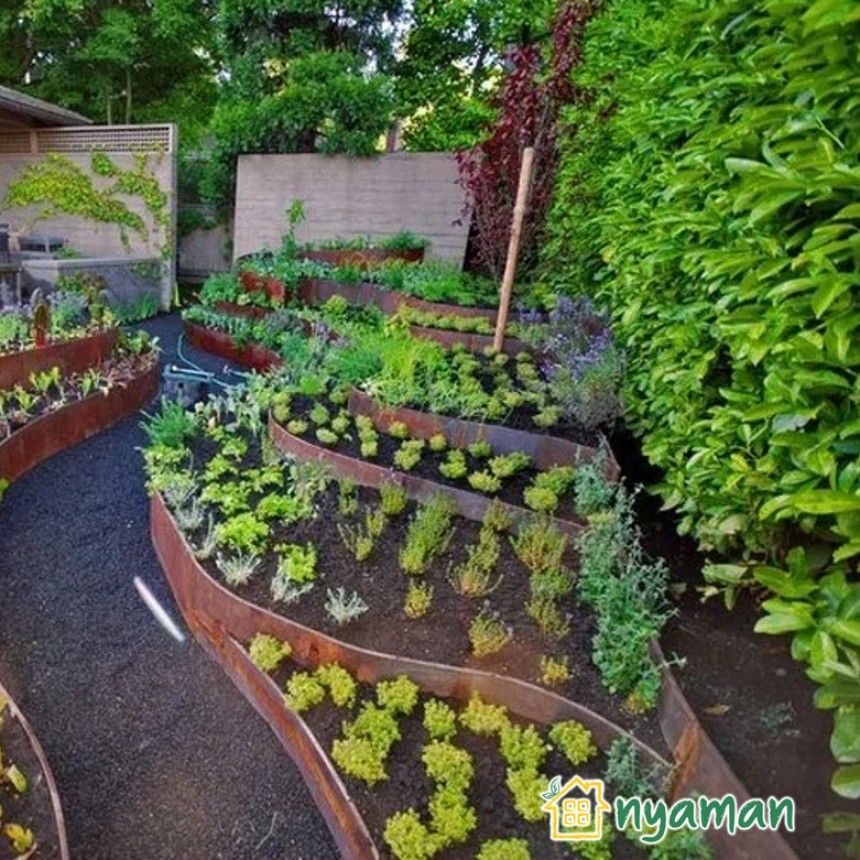 Inspirasi kebun sayur kreatif yang bisa sobat nyaman coba (2/2), Kebun sayur ala terasering