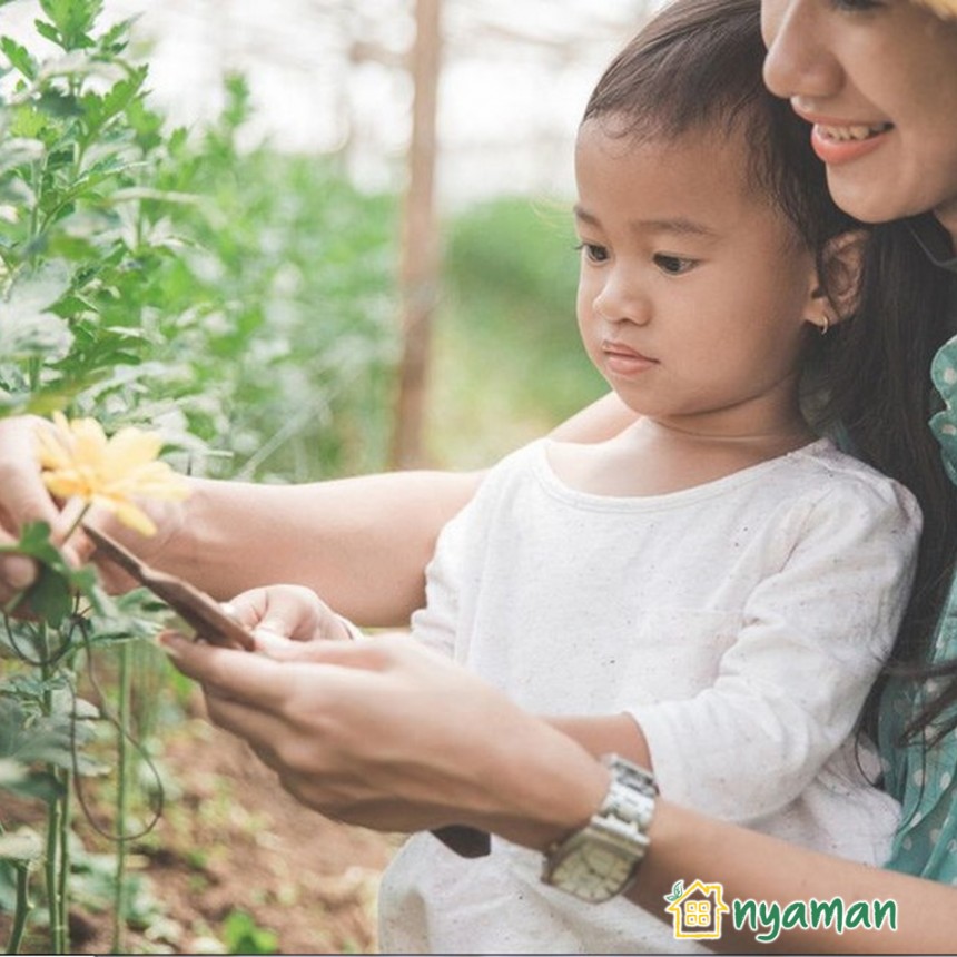 Manfaat berkebun untuk anda sekeluarga (2/3), Kehadiran sobat nyaman ternyata dibutuhkan
