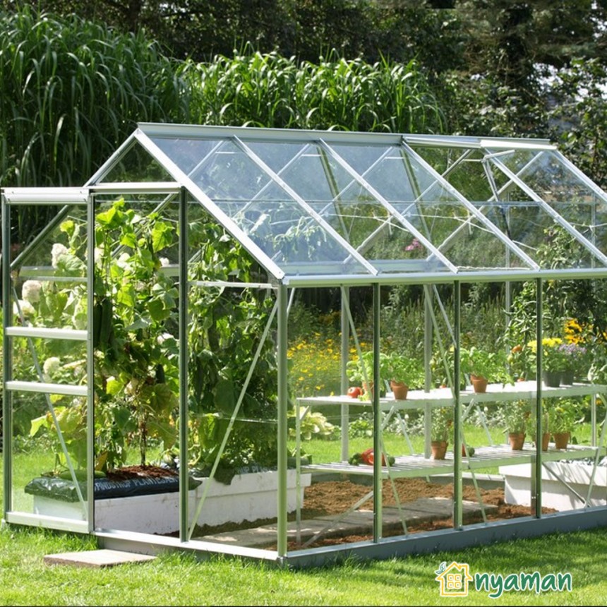 Manfaat rumah kaca untuk perkebunan yang subur (2/3), Menjaga kehangatan tumbuhan