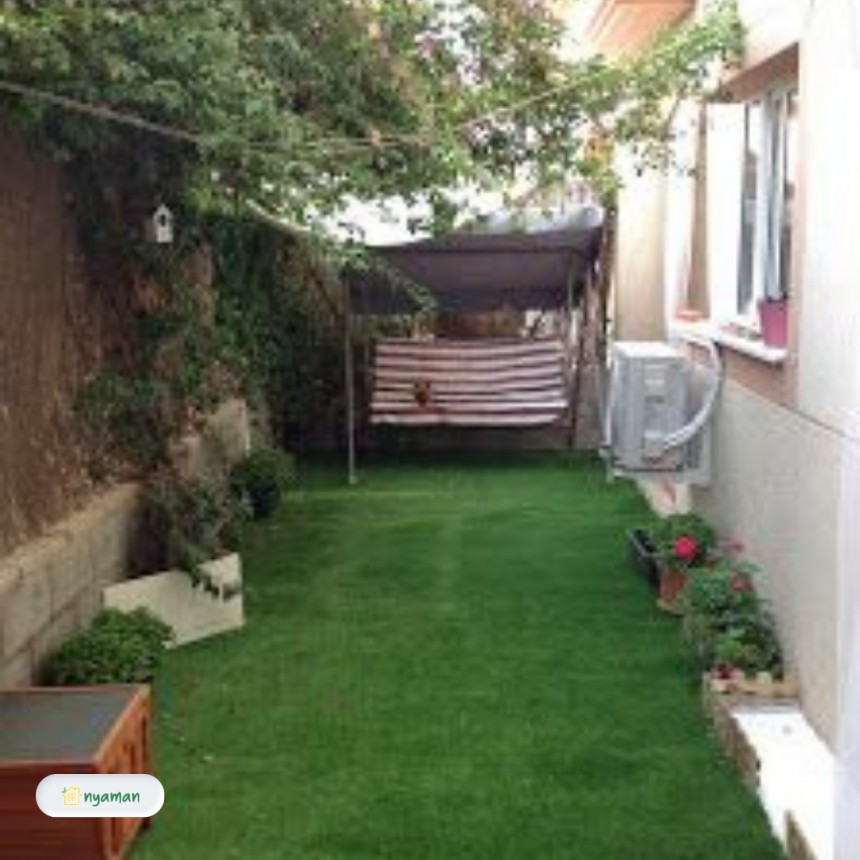 Rubah halaman belakang sobat nyaman, yuk