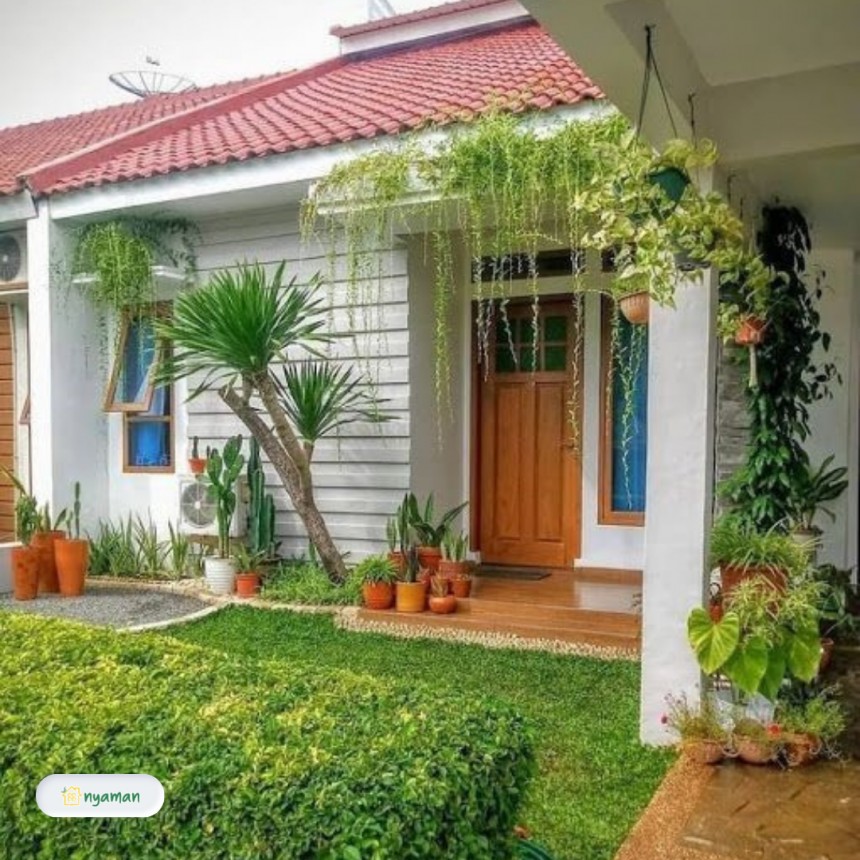 Sirih gading untuk teras minimalis