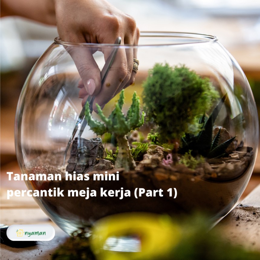 Tanaman hias mini untuk percantik meja kerja yang menyegarkan dan bawa hoki!, Terarium untuk meja kerja