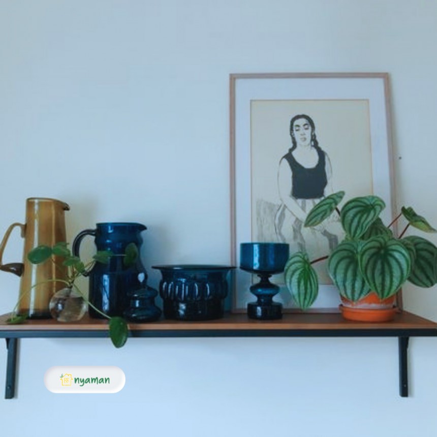 Tanaman hias yang cocok diletakan di rak (1/3), Peperomia watermelon