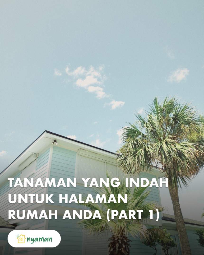 Tanaman terbaik untuk halaman depan rumah kesayangan (1/2), Pohon palem